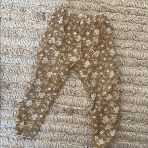 Jamie Kay 6-12 months